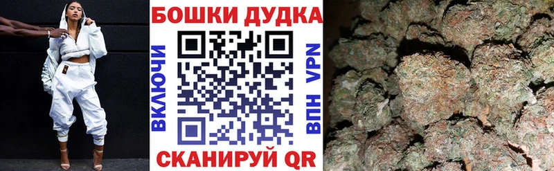 Марихуана план  блэк спрут зеркало  Шарья 